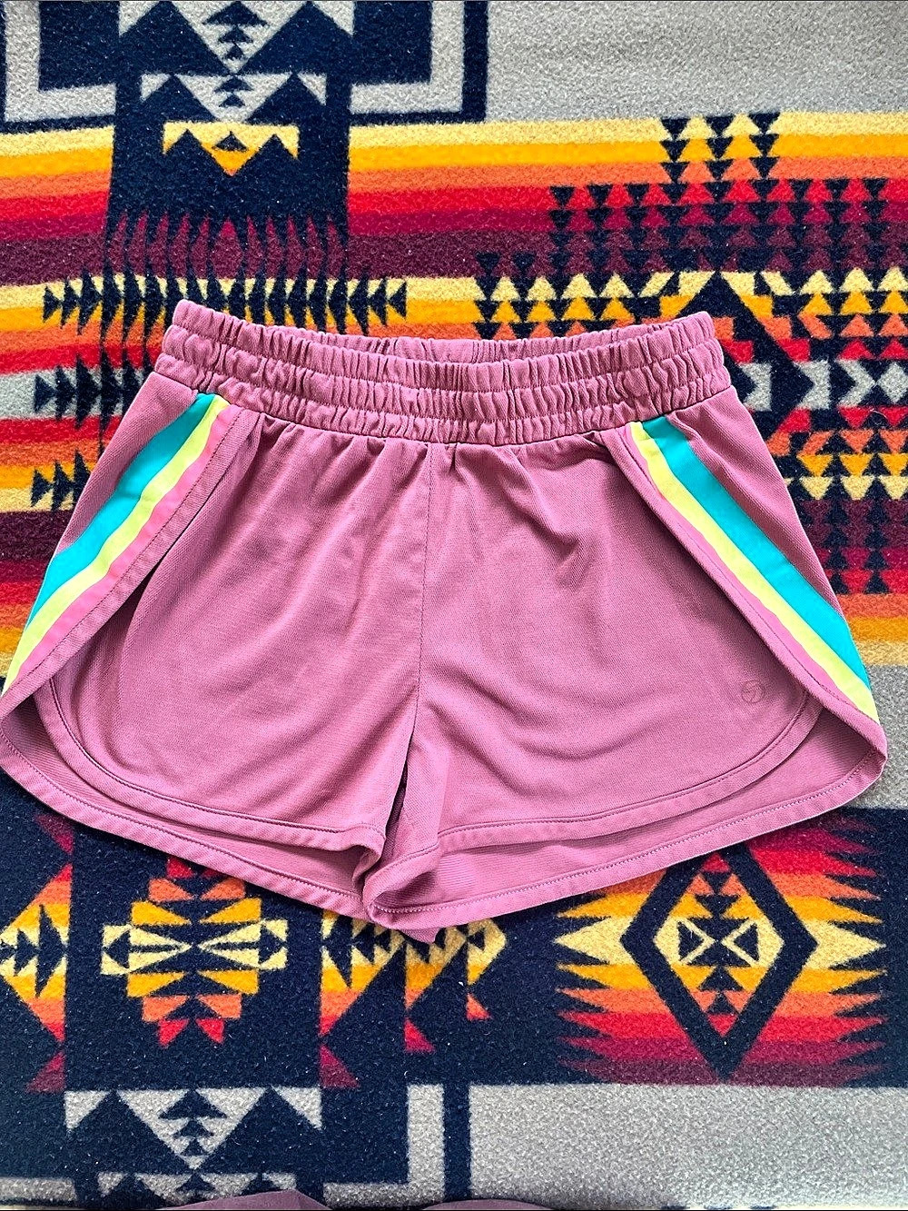 Rainbow dolphin shorts